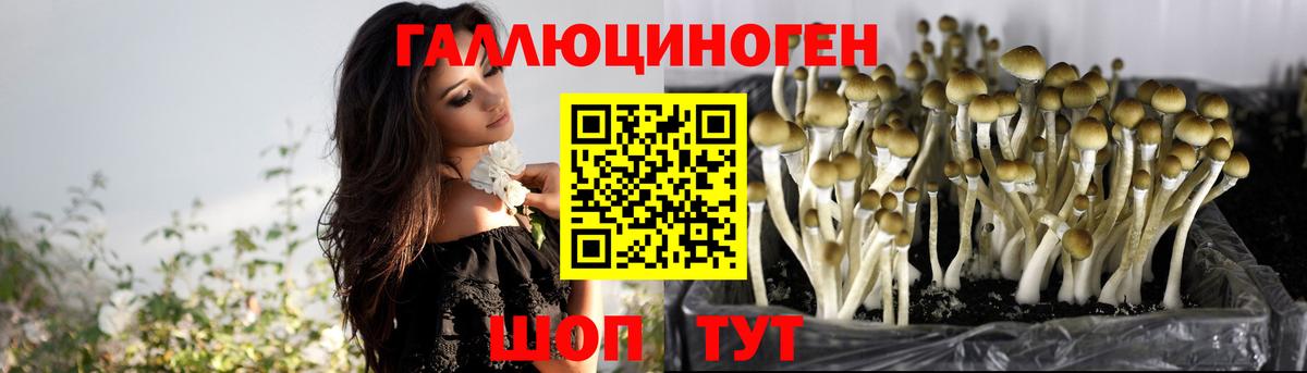 Галлюциногенные грибы MAGIC MUSHROOMS Калач-на-Дону
